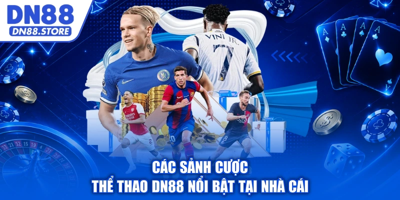 Các sảnh cược thể thao DN88 nổi bật tại nhà cái