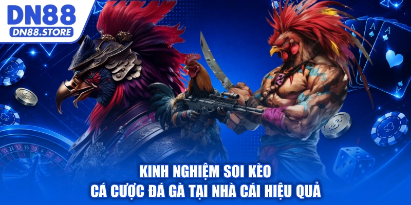 Kinh nghiệm soi kèo cá cược đá gà tại nhà cái hiệu quả